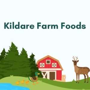 whats-going-on-ireland-kildare-farm-foods-santa-experience